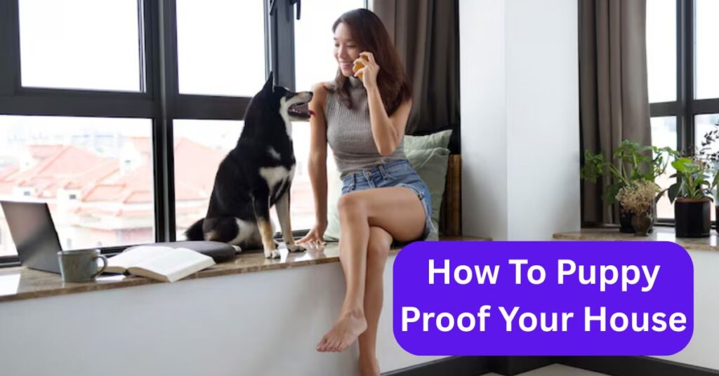 How To Puppy Proof Your House