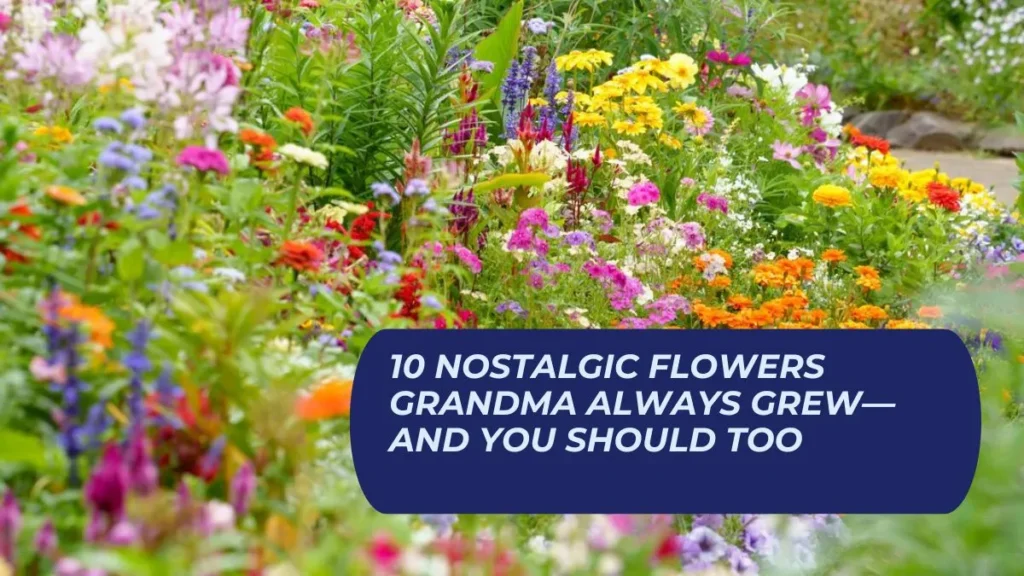 10 Nostalgic Flowers Grandma Always Grew—and You Should Too