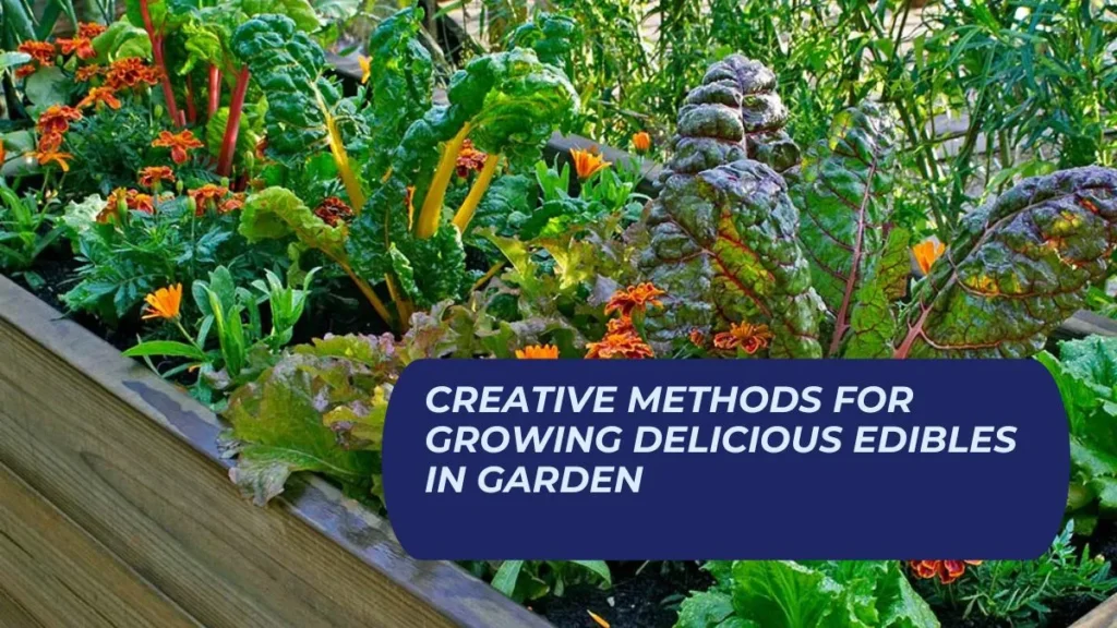 Creative Methods for Growing Delicious Edibles in Garden