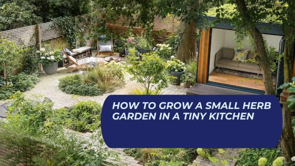 How To Grow A Small Herb Garden In A Tiny Kitchen