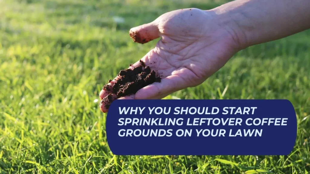 Why You Should Start Sprinkling Leftover Coffee Grounds On Your Lawn